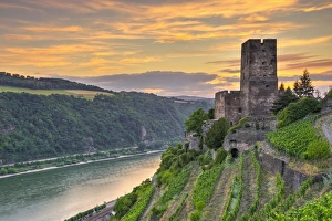River Rhine Prints: Burg Gutenfels, UNESCO World Heritage Site, and River Rhine, Rhineland Palatinate