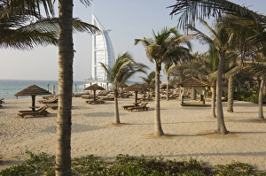 Palm trees, Jumeirah Beach, Dubai, United Arab Emirates, Middle East