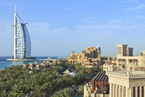 Palm trees, Jumeirah Beach, Dubai, United Arab Emirates, Middle East