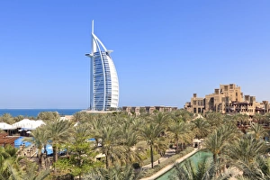 Palm trees, Jumeirah Beach, Dubai, United Arab Emirates, Middle East