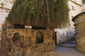 Images Dated 19th February 2008: The Burning Bush, Monastery of St. Catherine, UNESCO World Heritage Site