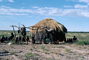 Botswana Prints: Bushmen, Kalahari, Botswana, Africa