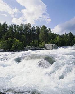 White Water Prints: Buskerrud, river near Gol