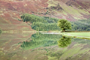 Images Dated 12th September 2008: Buttermere Lake, Lake District National Park, Cumbria, England, United Kingdom, Europe