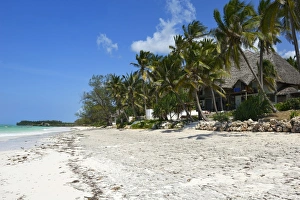 Bwejuu Beach Prints: Bwejuu Beach, Zanzibar, Tanzania, East Africa, Africa