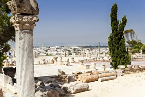Images Dated 20th June 2006: Byrsa Hill, Punic site at Carthage, UNESCO World Heritage Site, Tunis, Tunisia, North Africa, Africa