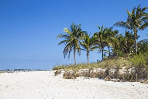 Nassau Prints: Cabbage Beach, Paradise Island, Nassau, Bahamas, West Indies, Caribbean, Central America