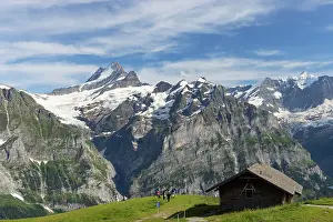 Swiss Prints: Cabin on First mountain with Shreckhorn mountain in the background