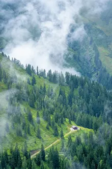 Cabin Prints: Cabin among pine trees with clouds viewed from Schmittenhoehebahn station on a sunny day in Austria