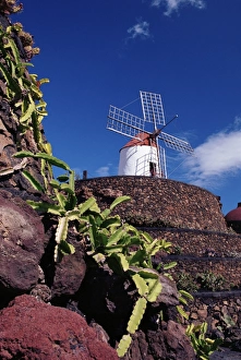 Cacti and windmill at Jardinn de los Cactus, Cesar Manriques work of art