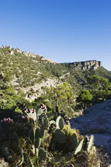 Pla Nts Prints: Cactus and canyon top hotel, Barranca del Cobre (Copper Canyon), Chihuahua state