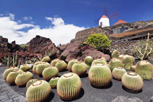 Abundance Prints: Cactus garden Jardin de Cactus by Cesar Manrique, wind mill, UNESCO Biosphere Reserve