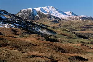 Images Dated 28th August 2008: Cadair Idris (Cader Idris) mountain reserve