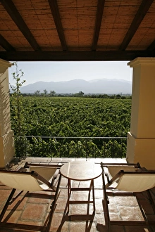 Terraces Prints: Cafayate Wine Resort, Cafayate, Salta Province, Argentina, South America
