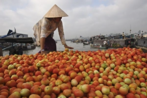 Can Tho Prints: Cai Rang Floating Market on the Mekong Delta