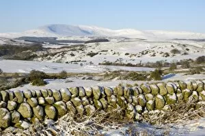 Images Dated 5th January 2010: Cairnsmore of Fleet in winter snow, from Knocktinkle Viewpoint, Dumfries and Galloway, Scotland