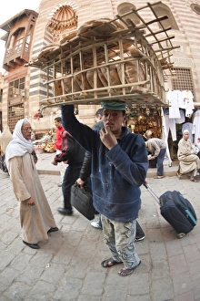 Images Dated 4th February 2009: Cairo, Egypt, North Africa, Africa