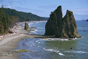 Olympic Prints: Cake Rock on Rialto Beach