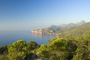 Images Dated 3rd August 2008: Cala de Deia, north coast of Majorca, Balearic Islands, Spain, Mediterranean, Europe