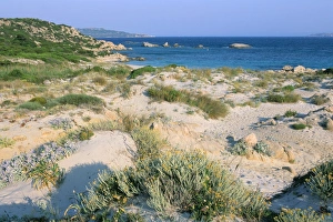 La Maddalena Prints: Cala Maiore