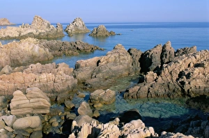 Sassari Prints: Cala Rossa