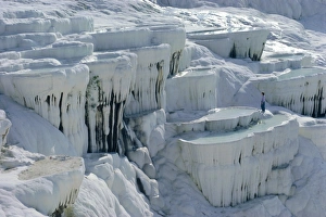 Layer Prints: Calcified limestone terraces