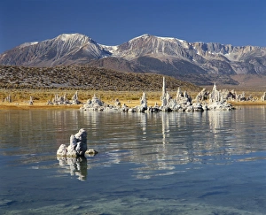 Tufas of calcium carbonate, Mono Lake Tufa State Reserve, California, United States of America