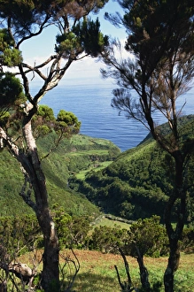 Sao Jorge Prints: Caldeira de Cima, Sao Jorge, Azores, Portugal, Atlantic, Europe