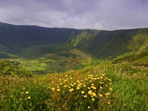 Azores Prints: Caldeira, Faial Island, Azores, Portugal, Atlantic, Europe