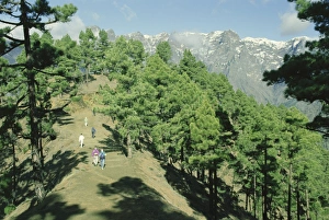 La Palma Prints: Caldera Detaburiente National Park