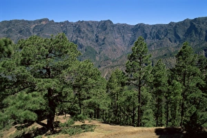 La Palma Prints: Caldera de Taburiente, La Palma, Canary Islands, Spain, Europe