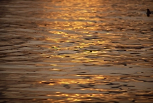 Tysfjord Prints: Calm water reflecting dusk light, Tysfjord, Arctic Waters, Polar Regions