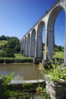 Viaducts Prints: Calstock railway viaduct, Tamar Valley, Cornwall, England, United Kingdom, Europe