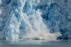 Calving Prints: Calved icebergs from the South Sawyer Glacier in Tracy Arm-Fords Terror Wilderness