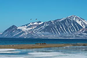 Arctic Gallery: Calypsobyen, Spitsbergen, Svalbard Islands, Arctic, Norway, Europe