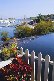 Camden Harbor
