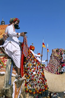 Mirror Work Prints: Camel adorned with colourful tassel and bridles