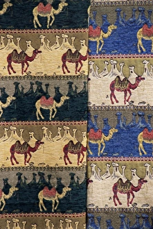 Cloth Prints: Camel blanket