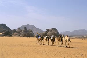 Camel caravan, Akakus, Sahara desert, Fezzan, Libya, North Africa, Africa