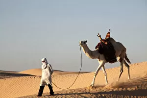 Images Dated 27th December 2011: Camel driver in the Sahara desert, near Douz, Kebili, Tunisia, North Africa, Africa