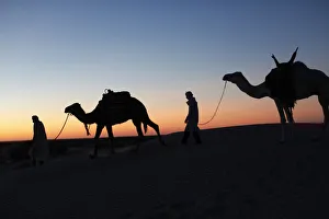 Tunisia Prints: Camel drivers at dusk in the Sahara desert, near Douz, Kebili, Tunisia, North Africa