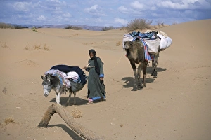 Camel man leading donkey and two camels on desert trek