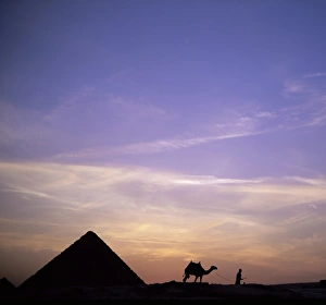 Pyramid Prints: Camel and pyramid in silhouette, Giza, near Cairo, Egypt, North Africa, Africa