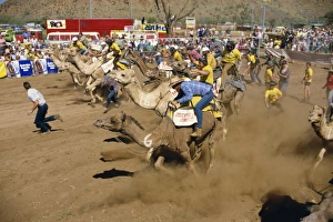 Dusty Prints: Camel racing, Alice Springs, Northern Territory, Australia, Pacific