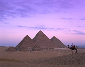 Images Dated 5th February 2008: Camel rider at Giza Pyramids, Giza, UNESCO World Heritage Site, Cairo, Egypt