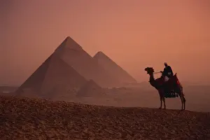 International Landmarks Prints: Camel and rider at Giza Pyramids, UNESCO World Heritage Site, Giza, Cairo