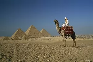Images Dated 23rd January 2008: Camel and rider near the Pyramids, UNESCO World Heritage Site, Giza, Cairo