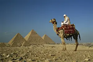 One Man Prints: Camel and rider near the Pyramids, UNESCO World Heritage Site, Giza, Cairo