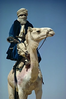Camel and rider, Sahara Desert, Algeria, Africa
