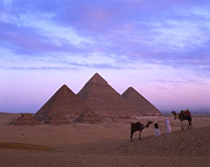 Images Dated 5th February 2008: Camel riders at Giza Pyramids, Giza, UNESCO World Heritage Site, Cairo